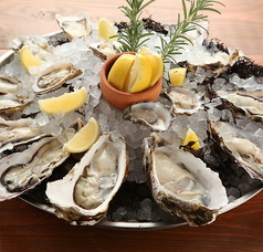 フィッシュハウス オイスターバー 恵比寿本店の写真