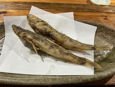目光
