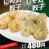 餃子の丸いのおすすめ料理2