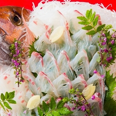 博多 畑中の特集写真