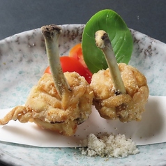 野次馬チューリップ(2本)