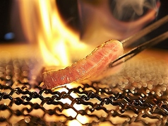 和牛七厘炭火焼肉 くいだおれ特集写真1