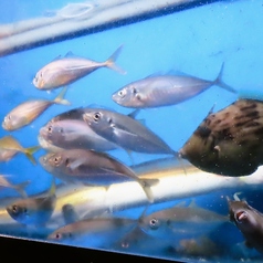 郷土 海鮮 肥後の陣屋のコース写真