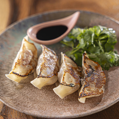 パクチー添えの餃子と季節で変わる特製春巻きなど、多彩な創作一品料理をご提供！の写真