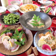 葵食堂 大衆酒場の特集写真