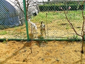 たち野の雰囲気2