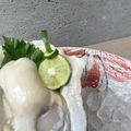 料理メニュー写真&nbsp;（三陸〉生牡蠣