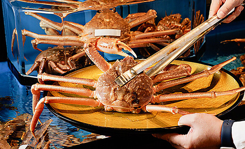 水槽に厳選された新鮮なかにが入荷しております。