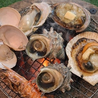  【糸島直送】鮮度抜群の海鮮と、大地の力強い野菜
