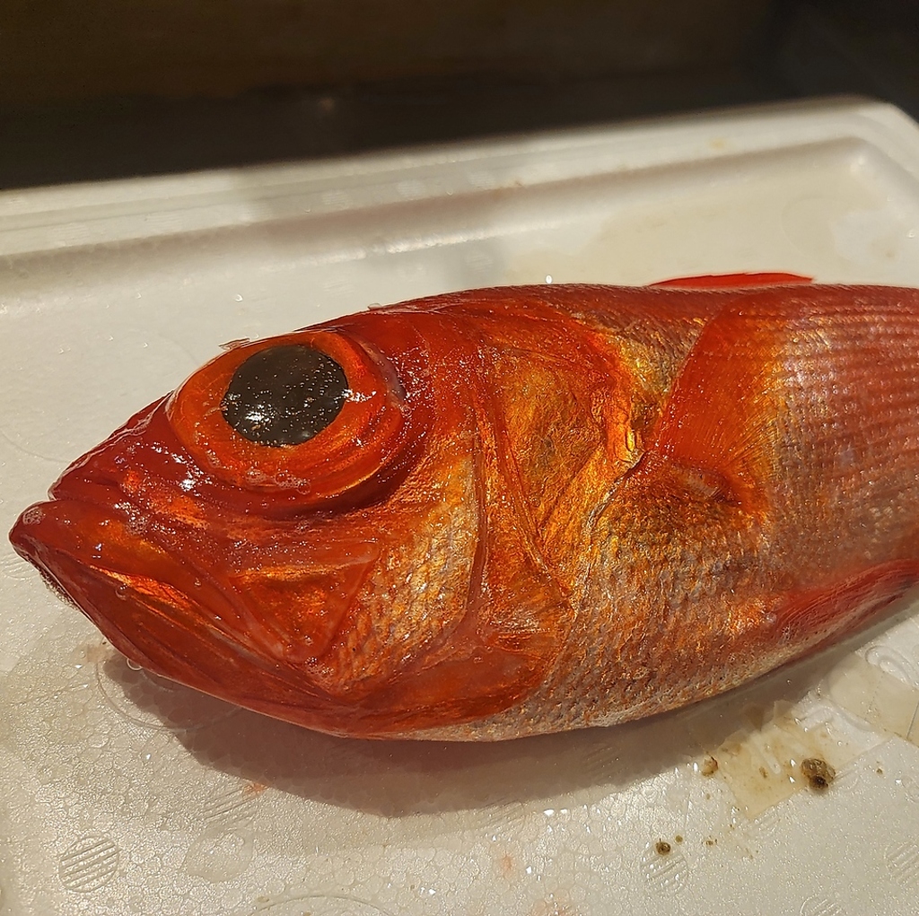 ※市場直送旬の食材でご提供しております！