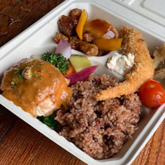 Bioスペシャル弁当