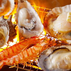 春吉酒場 十字路のもつ雄のコース写真