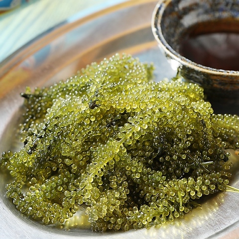 ���ꗿ�������邭�݂Ă� �֓��X