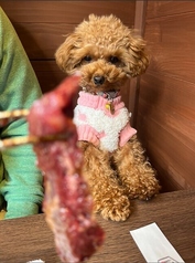 金肉屋 田町店の雰囲気3