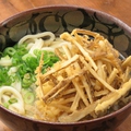 料理メニュー写真 ごぼう天うどん