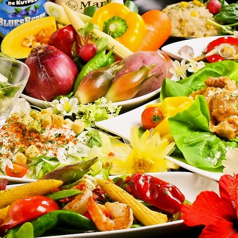 sofa dining ZETTON �\�t�@�_�C�j���O �[�b�g��