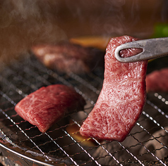 海千山千番長 京橋北店のコース写真