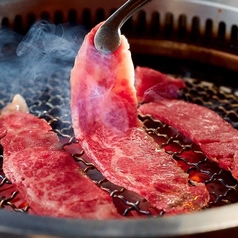 ランチ限定！特別価格の追加メニュー