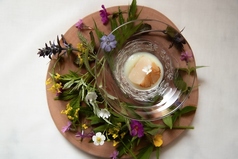 オホーツク産ホタテとカリフラワーのピューレの写真