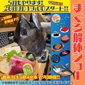 江坂海鮮食堂 はなれ おーうえすとのおすすめ料理1