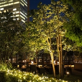 グランフロント大阪 梅田の雰囲気3