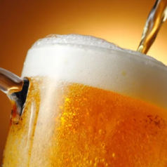 養老乃瀧 手稲店のコース写真