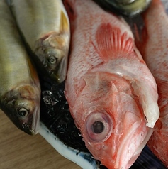 炉端焼き アナタと博多 名古屋駅前店の特集写真