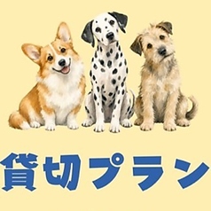 集い呑み COO クゥのコース写真