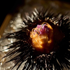 SHUHARI TIAD AUTOGRAPH COLLECTION シュハリ ティアド オートグラフ コレクションのコース写真