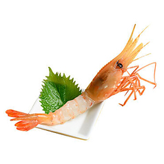 ぼたん海老