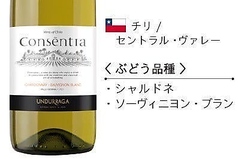 コンセンティア シャルドネ　ソーヴィニヨン・ブラン（Glass/Bottle）