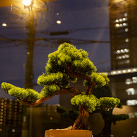 モダンクールな店内を盆栽や高級襖や華のある着物が彩る