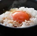 料理メニュー写真 TKG(卵かけご飯)