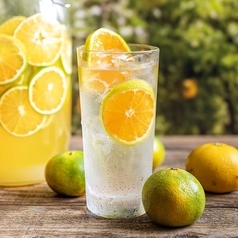 漬け込みフレッシュサワー