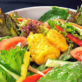 料理メニュー写真&nbsp;朝採り有機野菜の農園サラダ　◇３～４名様でどうぞ。