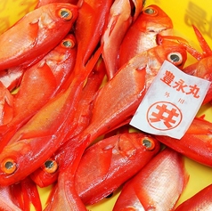 魚問屋　魚一商店　南柏総本山の写真2