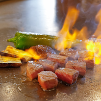 ≪鉄板で仕上げる一品料理≫