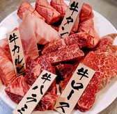 サカイ食堂の詳細