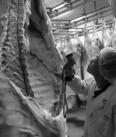 こだわりの飛騨牛肉に対しての想い