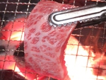 この贅沢な肉の霜降りのサシをご覧ください！極上のお肉もご用意しています！