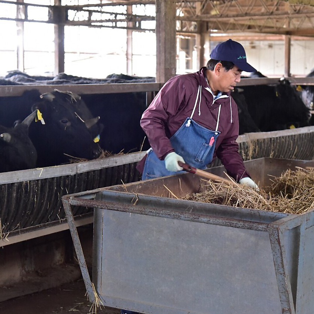 【こだわり、その壱】　県内牧場直送の目利き職人によるかごしま黒牛