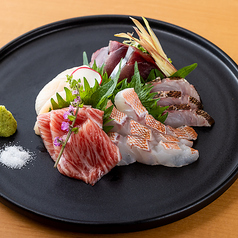 刺身5点盛り 1人前