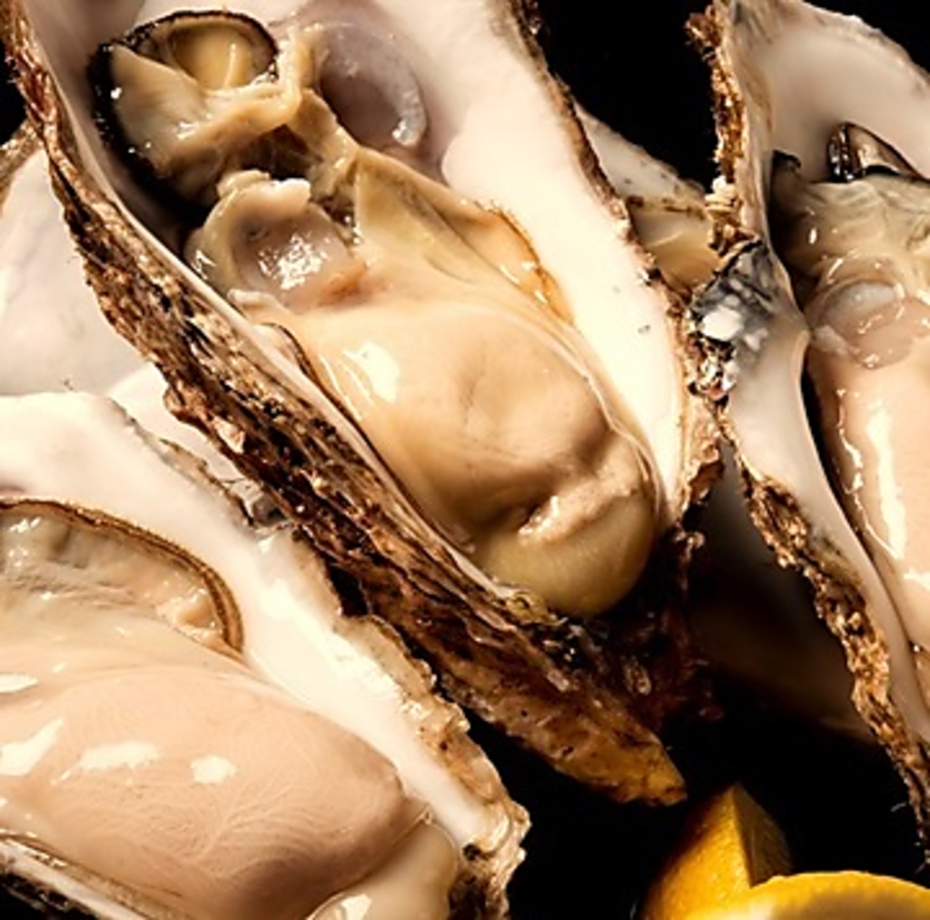 【豊洲直送】プロが厳選！大手の職人が選ぶ生牡蠣は、鮮度抜群！身はぷりぷりで味わい濃厚です♪