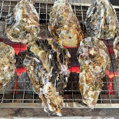 M-SPO TERRACE BLUE x BLUE　(テラス　ブルー×ブルー)の写真2