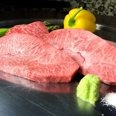 熊本馬肉料理と熊本ステーキの店 ニューくまもと亭のコース写真