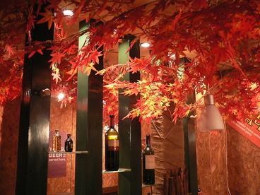 伊菜屋 TAKAの雰囲気1