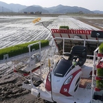 【こだわり、その弐】　県内のお米農家から直送している「甘くてみずみずしいかごしま県米」