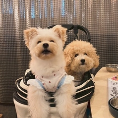 ビストロ海真丸 光の森店のおすすめポイント1