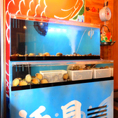 大アサリ サザエ アワビ ホッキ 水槽には活け貝