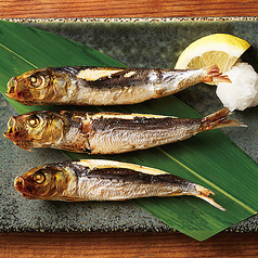 イワシの丸干し